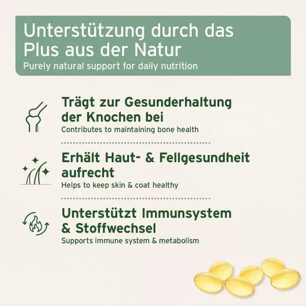Lachsöl Omega 3 - Kapseln